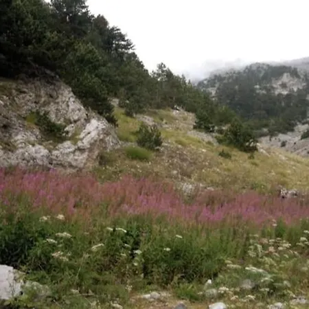 Olympos Philoxenia, μεταξύ βουνού και θάλασσας * Kateríni
