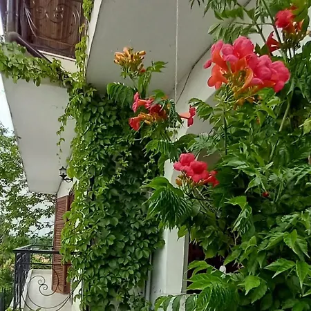 Villa Olympos Philoxenia, μεταξύ βουνού και θάλασσας *