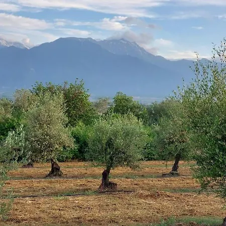 Olympos Philoxenia, μεταξύ βουνού και θάλασσας Βίλα *
