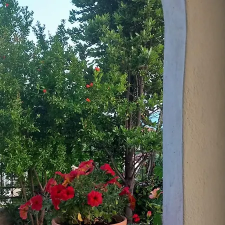 Olympos Philoxenia, μεταξύ βουνού και θάλασσας Vila *