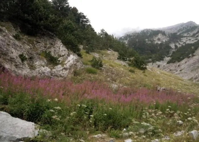 Olympos Philoxenia, μεταξύ βουνού και θάλασσας * Kateríni