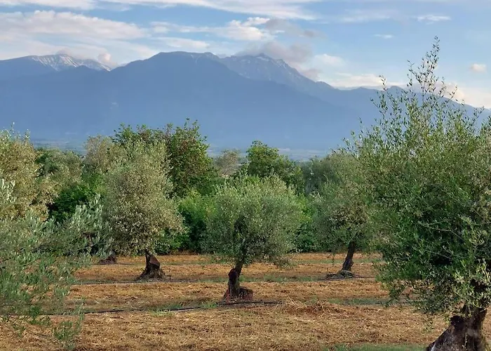 Olympos Philoxenia, μεταξύ βουνού και θάλασσας Villa *