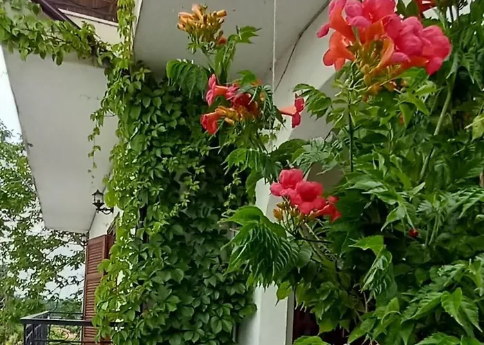 Villa Olympos Philoxenia, μεταξύ βουνού και θάλασσας *