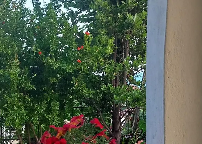 Olympos Philoxenia, μεταξύ βουνού και θάλασσας Villa *